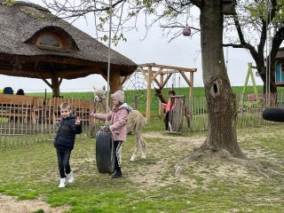 437197281_421294567274249_419914715930488086_n_(1)